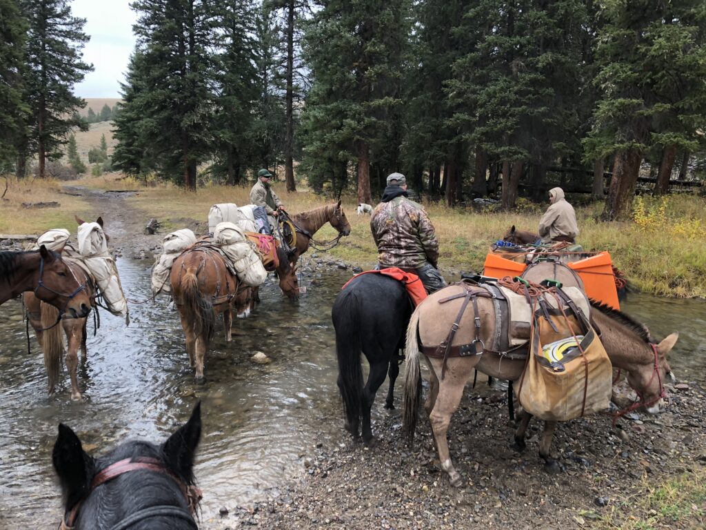 Creek crossing guided hunting trip