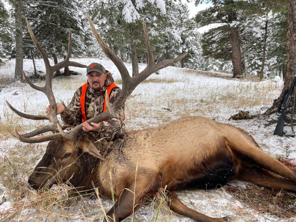 Hunter with bull elk