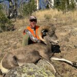 Client with Montana bighorn sheep