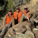 Three clients with Montana bighorn sheep