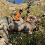 Bighorn sheep harvest with client