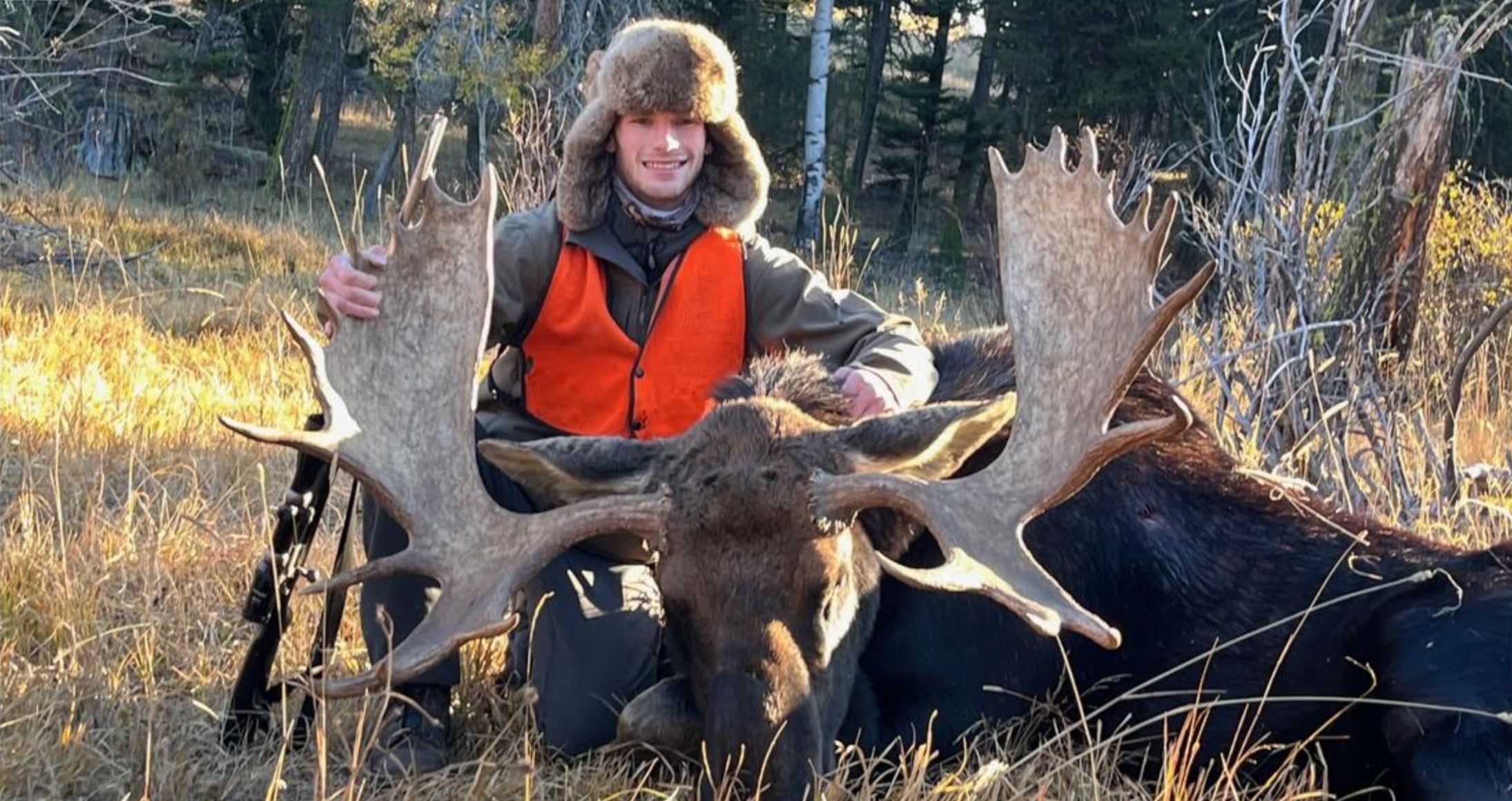 Montana Moose with hunter